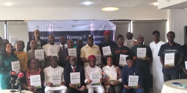 Conservation foundation urges businesses to champion environmental sustainability, biodiversity in Nigeria