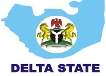 DPV grassroots mobilisation strengthening participatory democracy in Delta – APC Chieftain